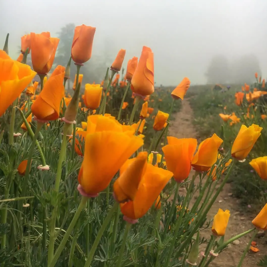 IMG_20221207_210918_611