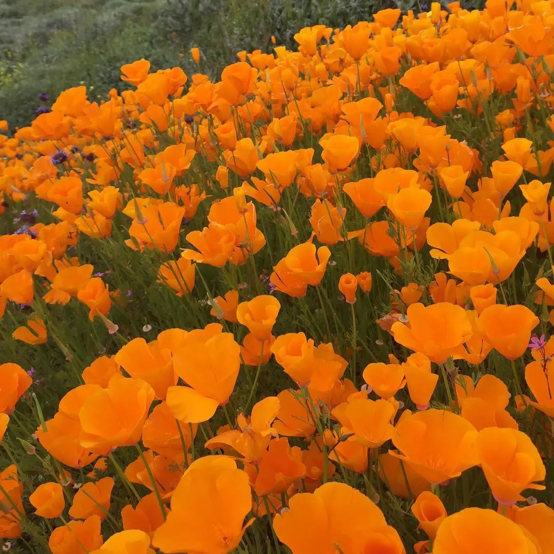 IMG_20221207_210918_630