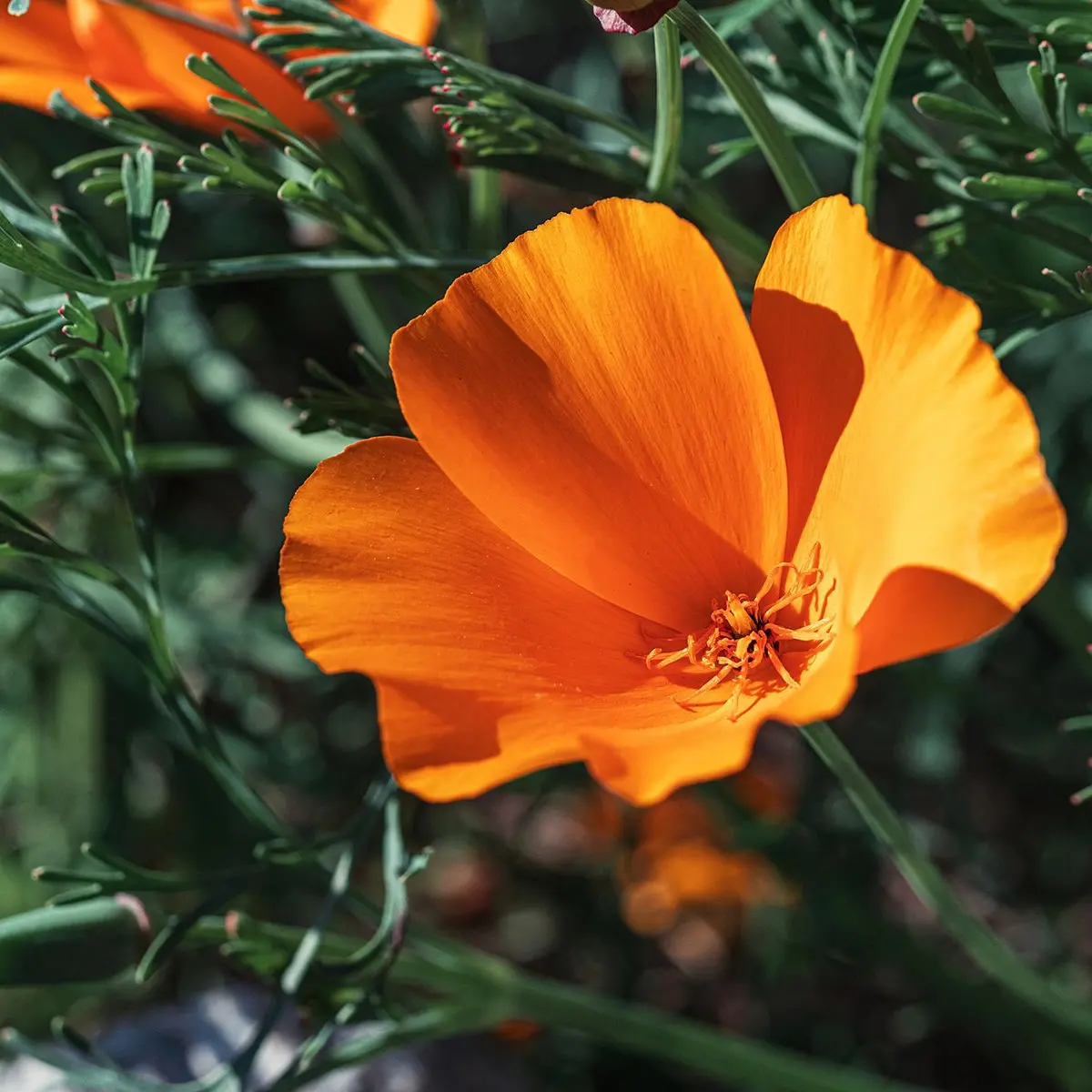 IMG_20221207_210918_634