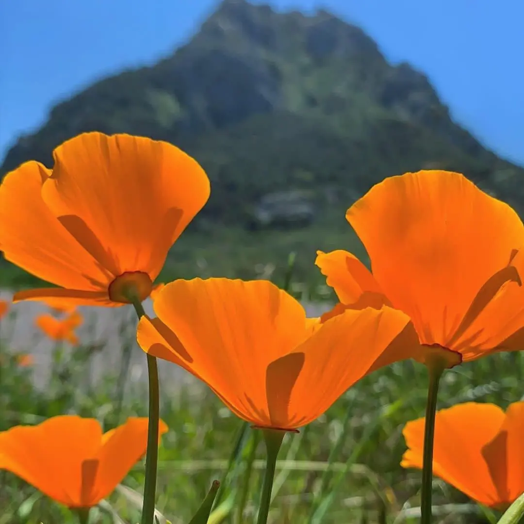 IMG_20221207_210918_685