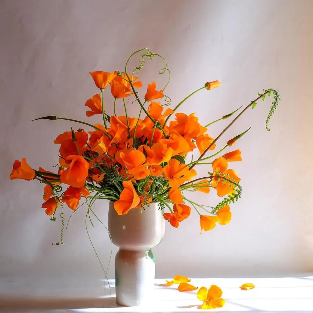 IMG_20221207_210918_709