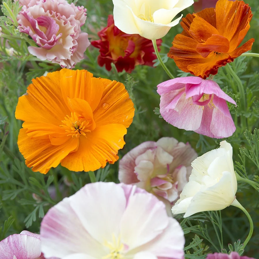 IMG_20221209_193316_400