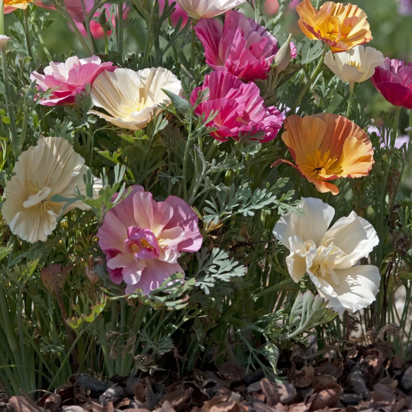 IMG_20221209_193316_465