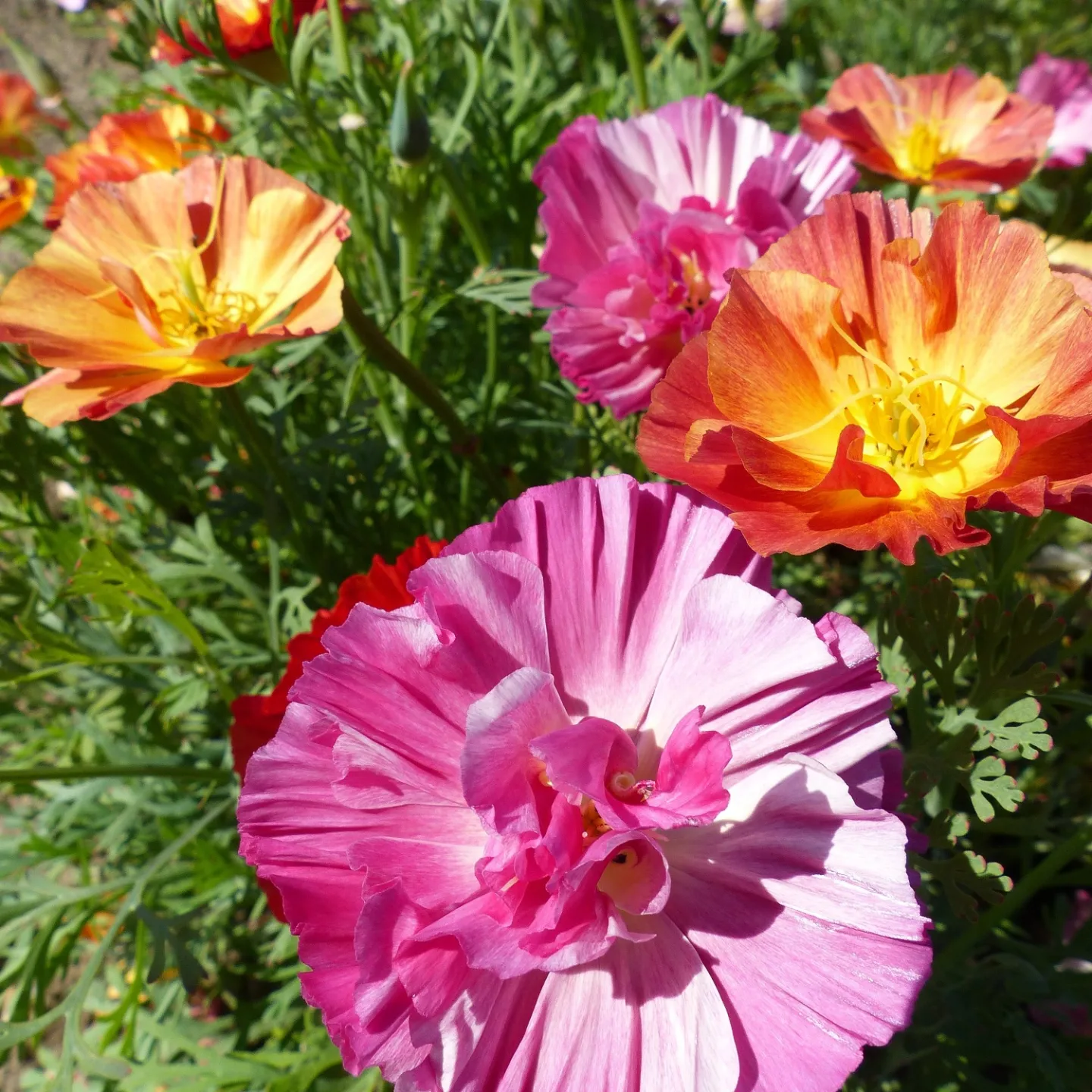 IMG_20221209_193316_497