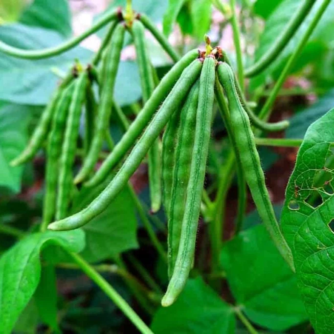 IMG_20230923_204051_650