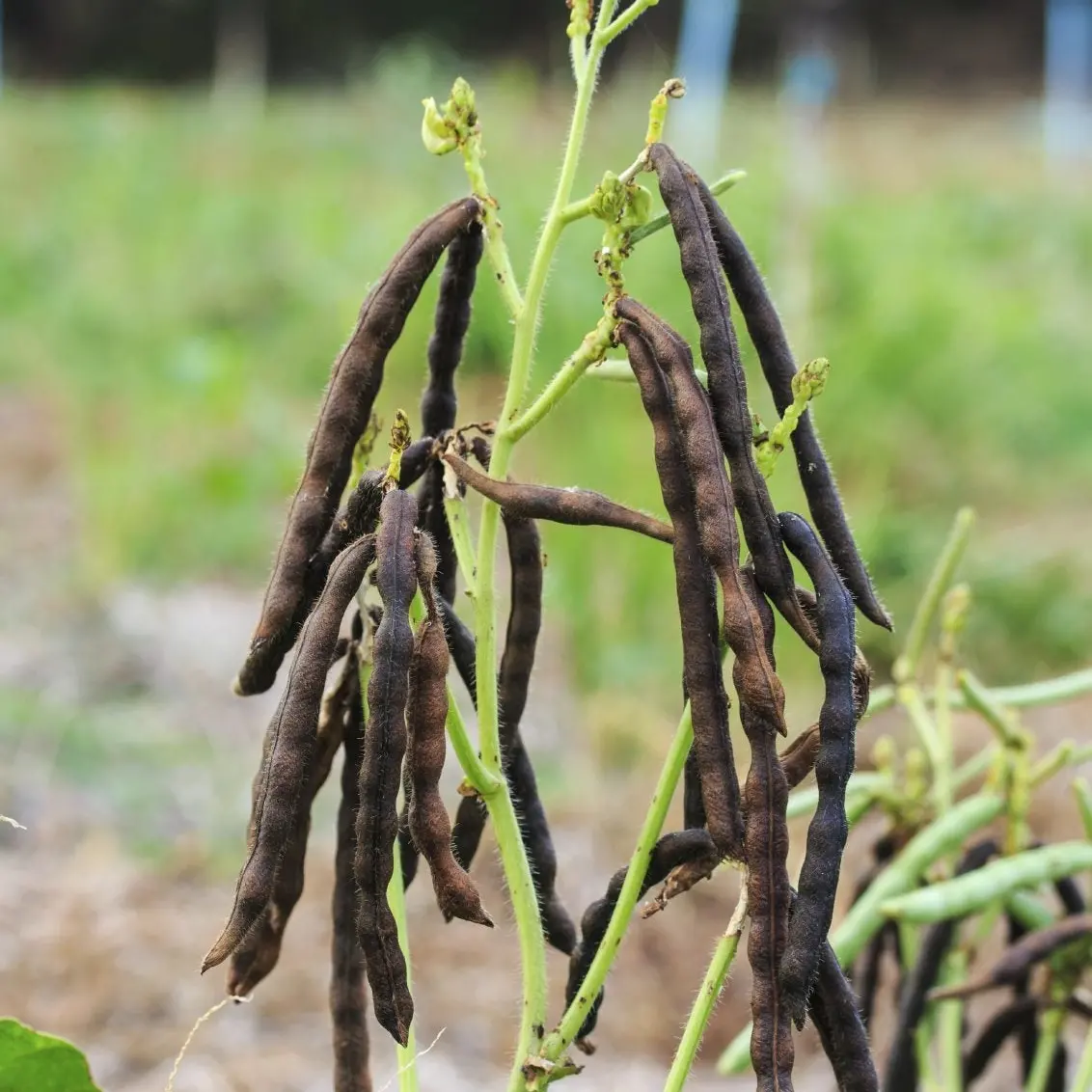 IMG_20230923_204051_660