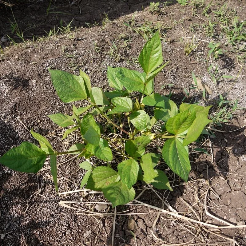 IMG_20230923_204051_689