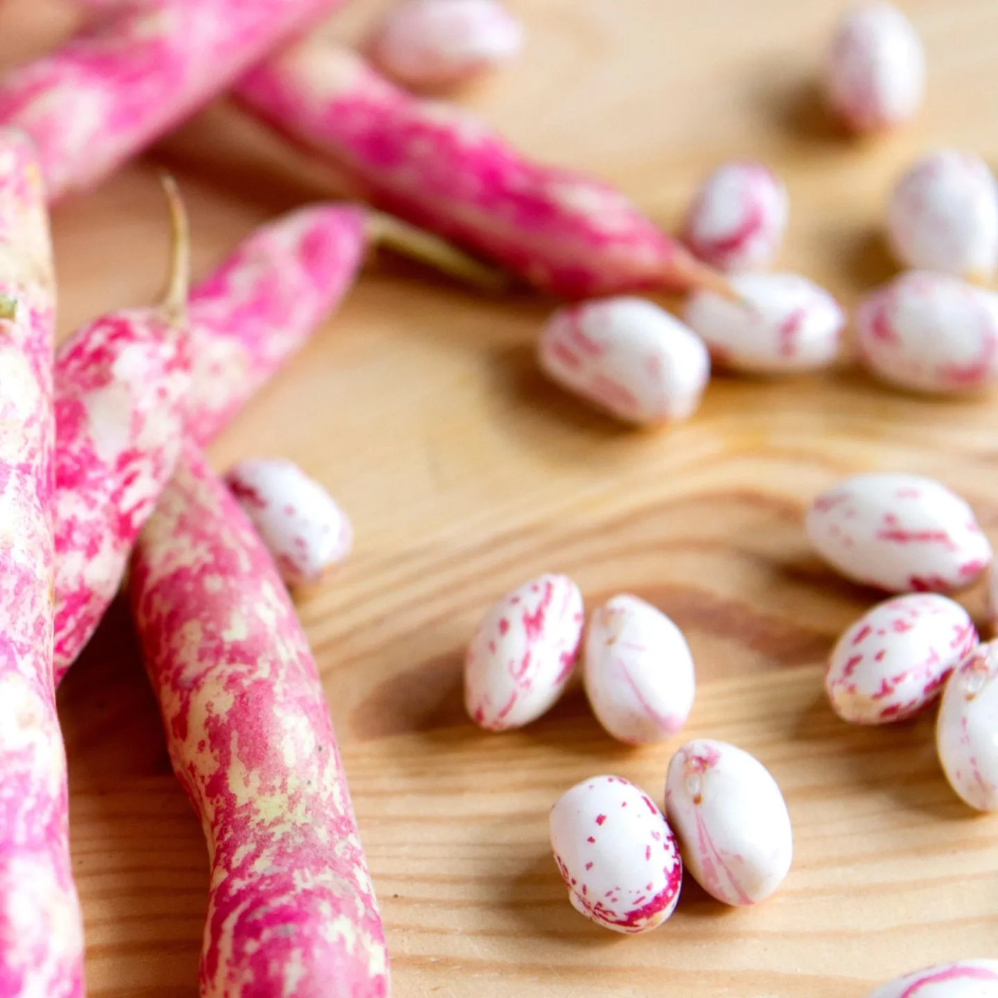 IMG_20230925_213113_632