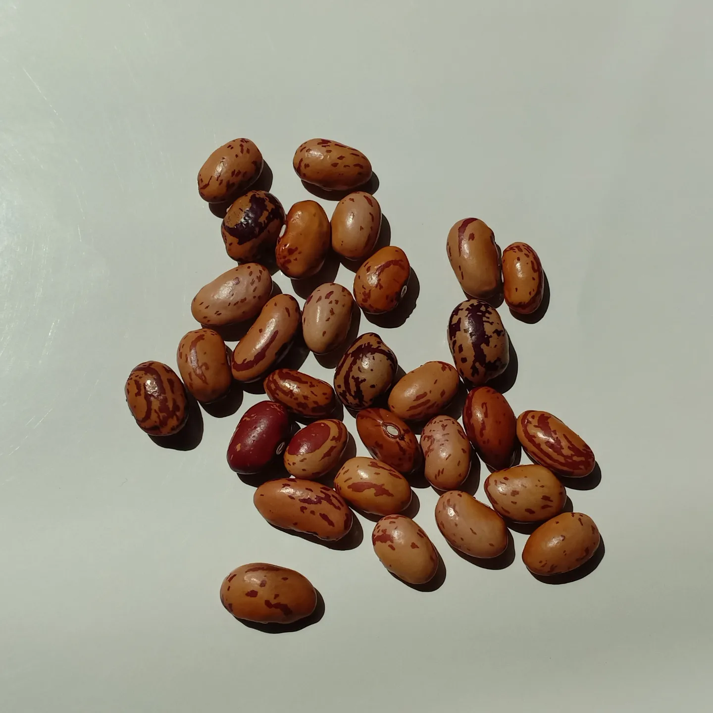 IMG_20230925_213113_641