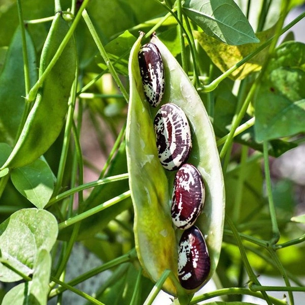 IMG_20230925_213720_767