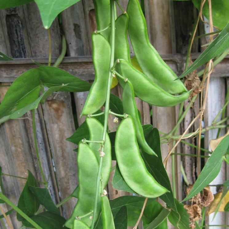 IMG_20230925_213720_791