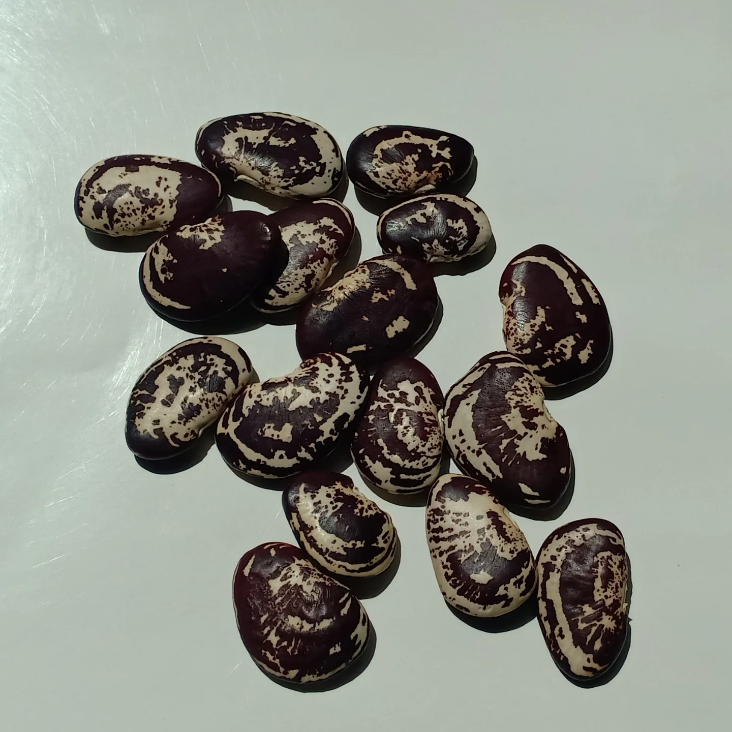 IMG_20230925_213720_809