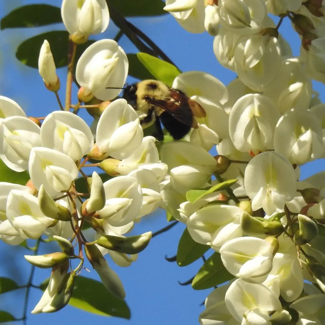 IMG_20231009_202833_147