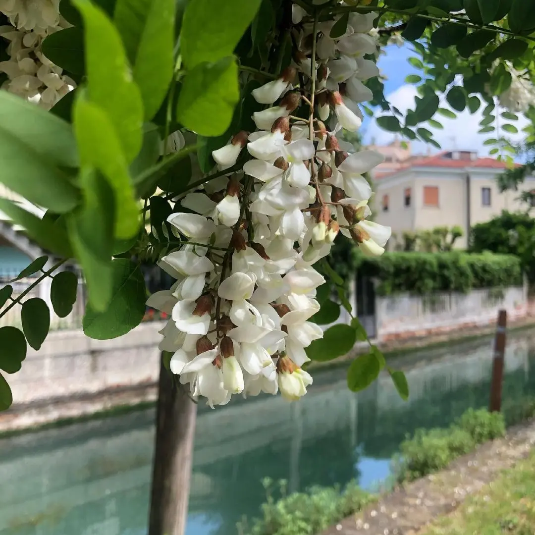 IMG_20231009_202833_162