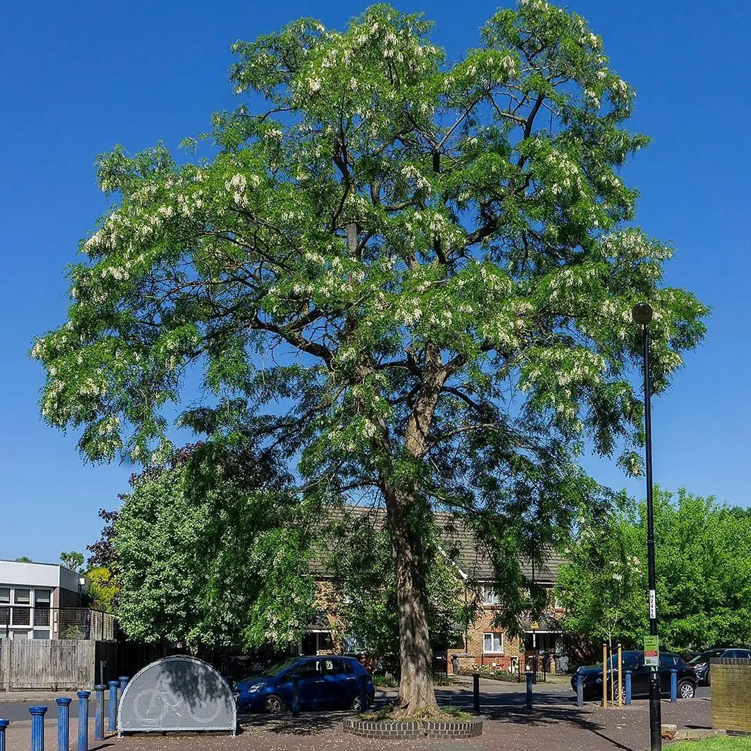 IMG_20231009_202833_191