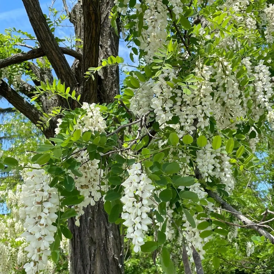 IMG_20231009_202833_202