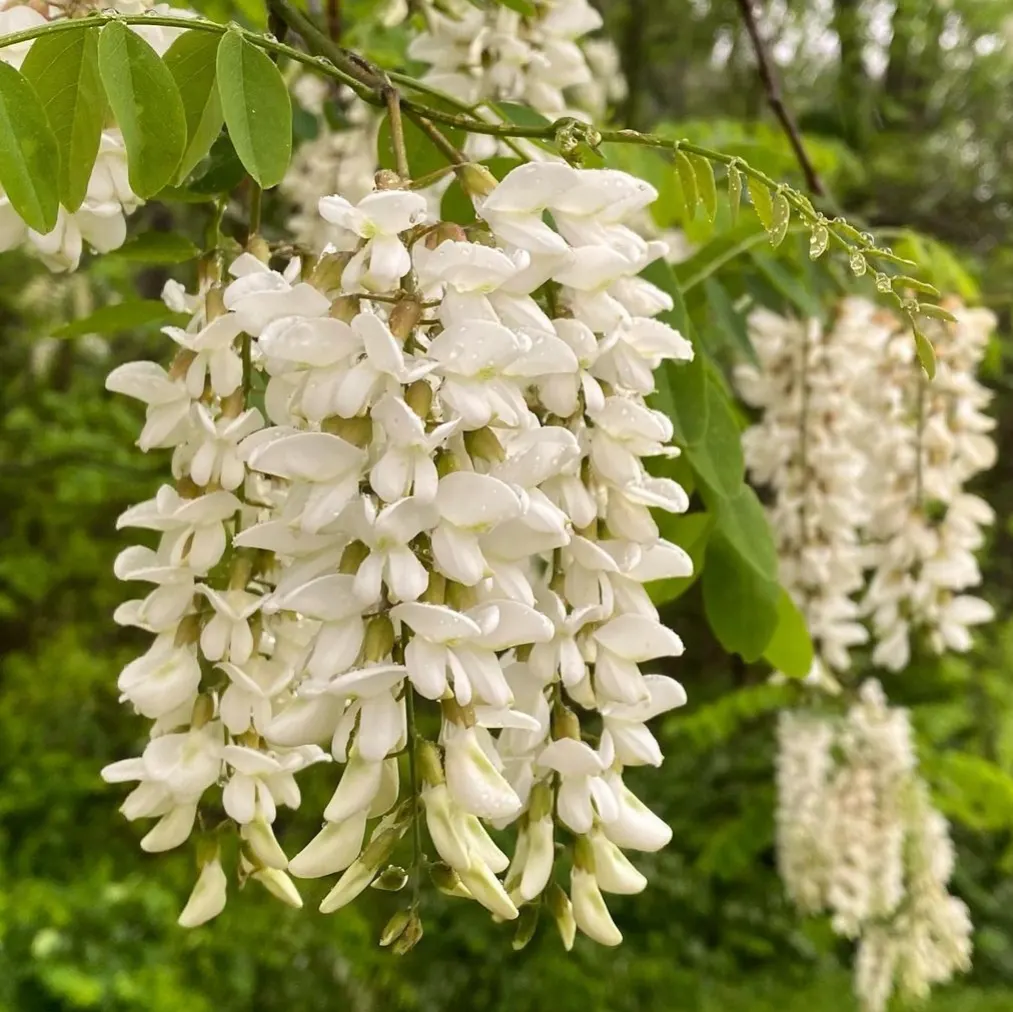 IMG_20231009_202833_212