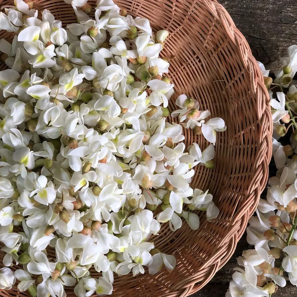 IMG_20231009_202833_217