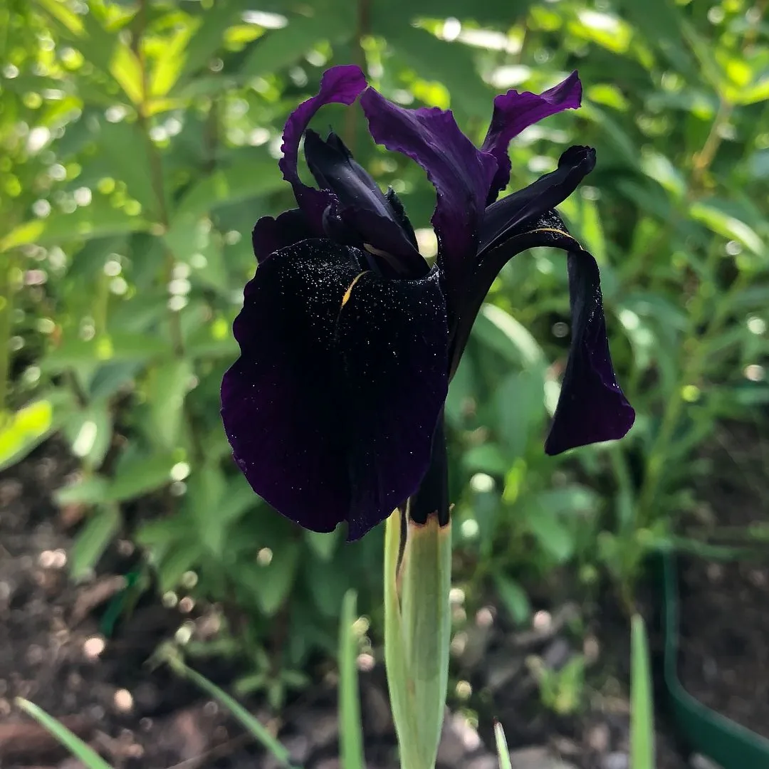 IMG_20240129_214928_870