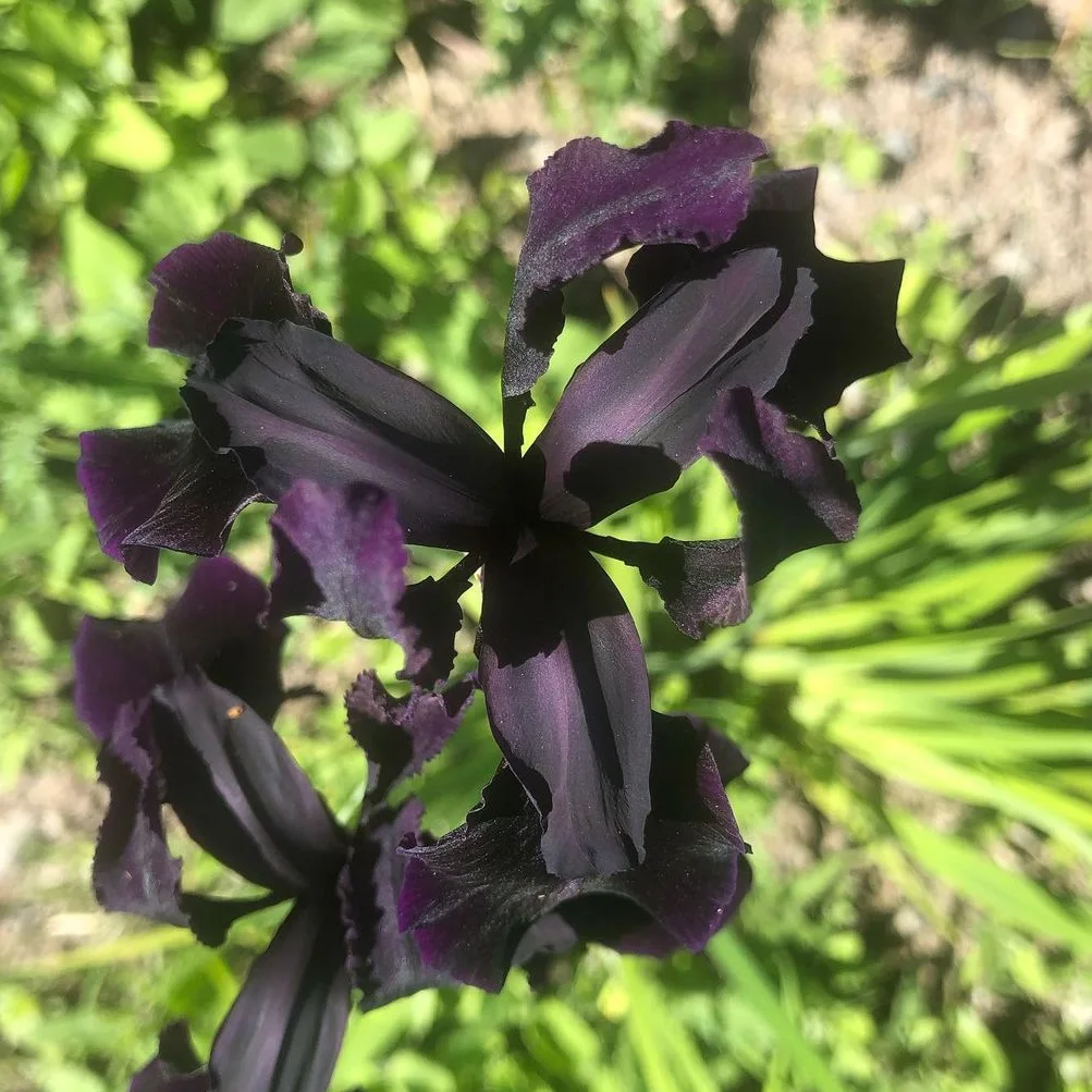 IMG_20240129_214928_878