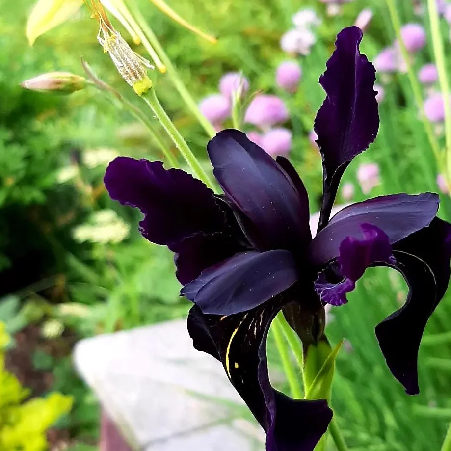 IMG_20240129_214928_883