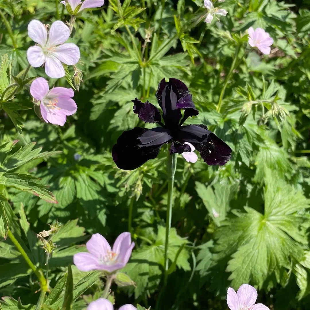 IMG_20240129_214928_888