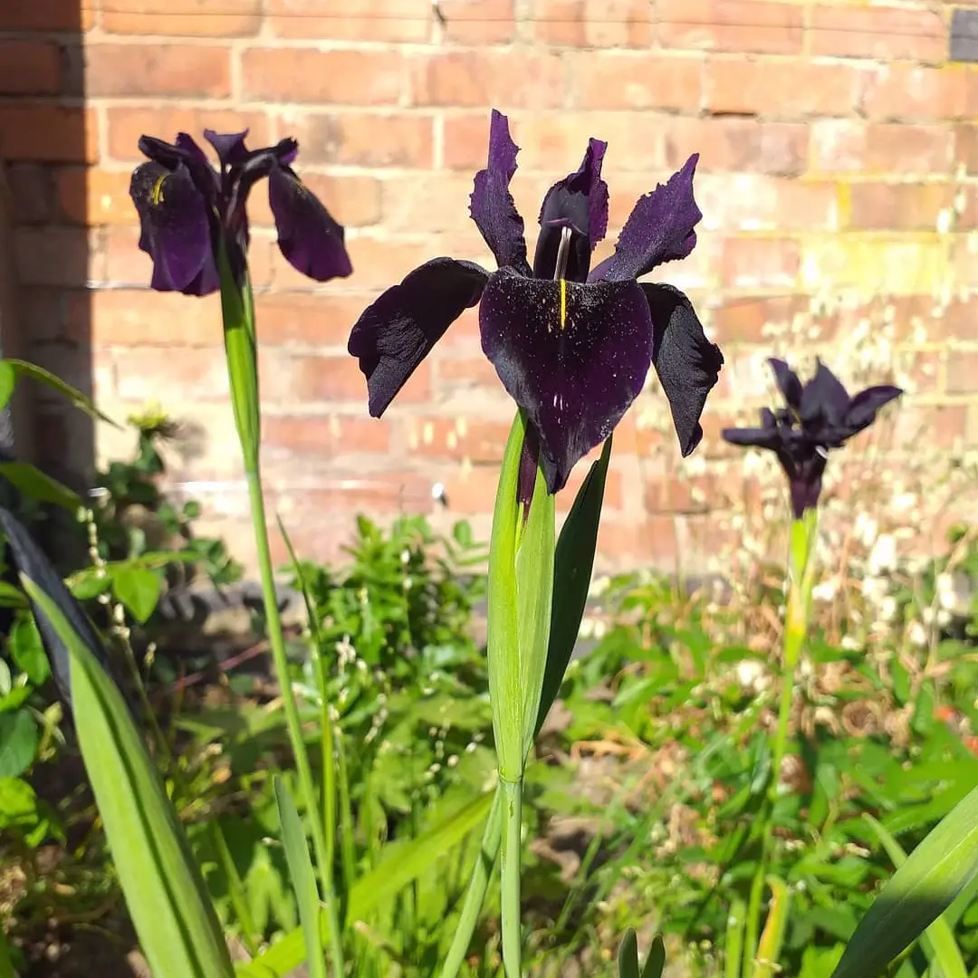 IMG_20240129_214928_901