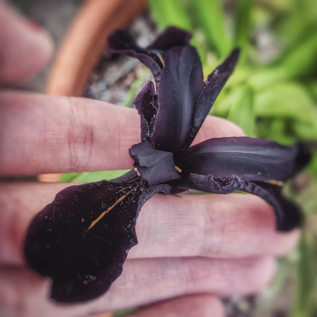 IMG_20240129_214928_905