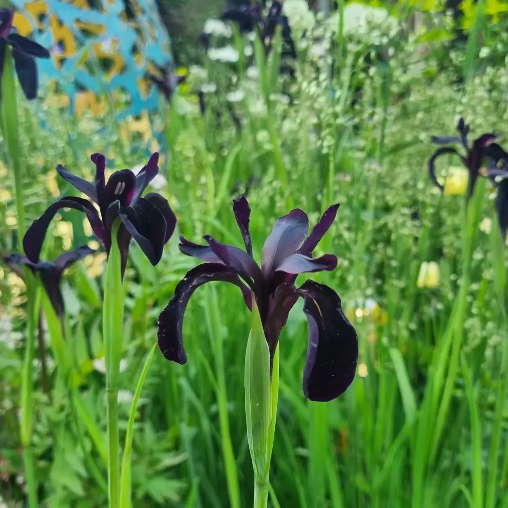 IMG_20240129_214928_909