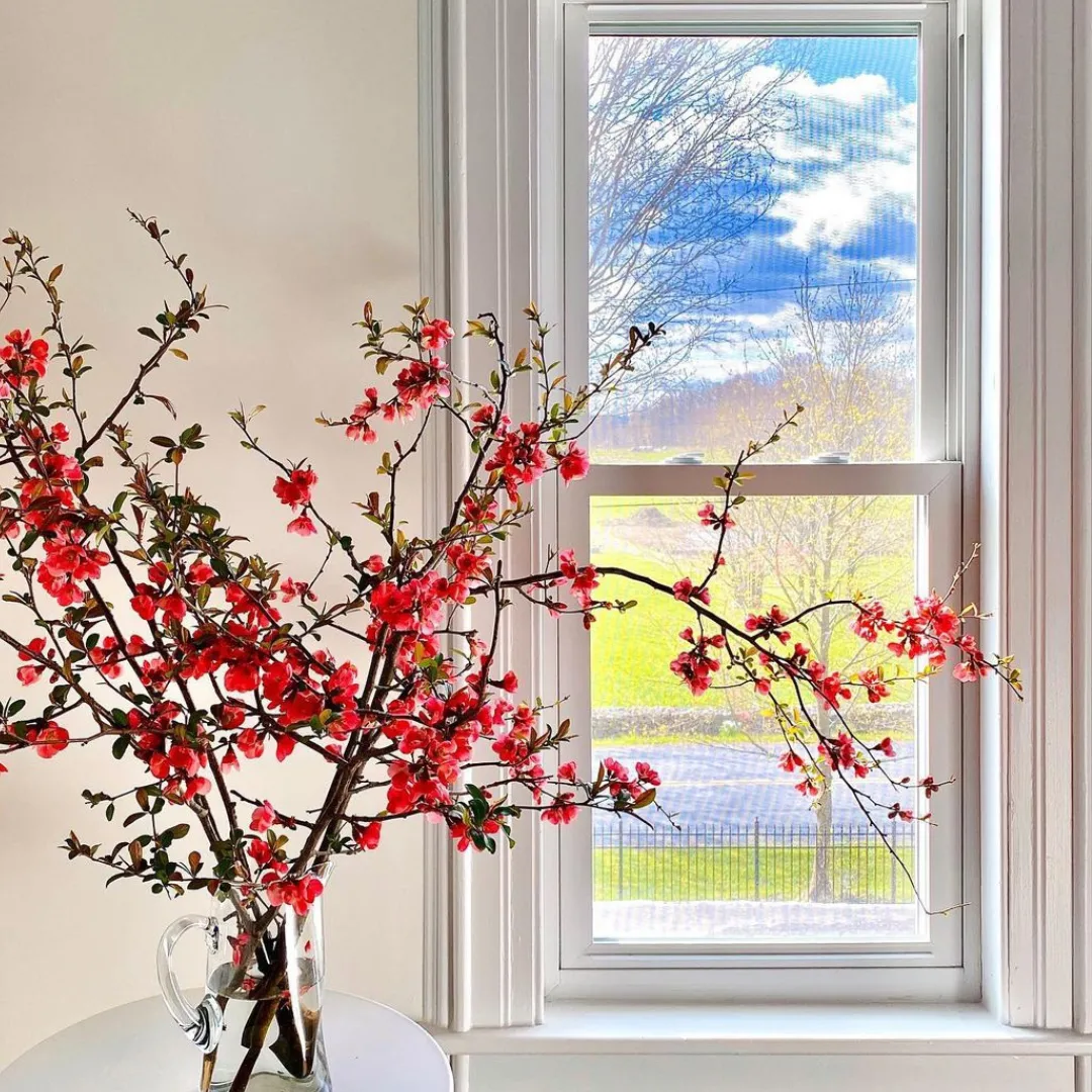 IMG_20240303_122126_425