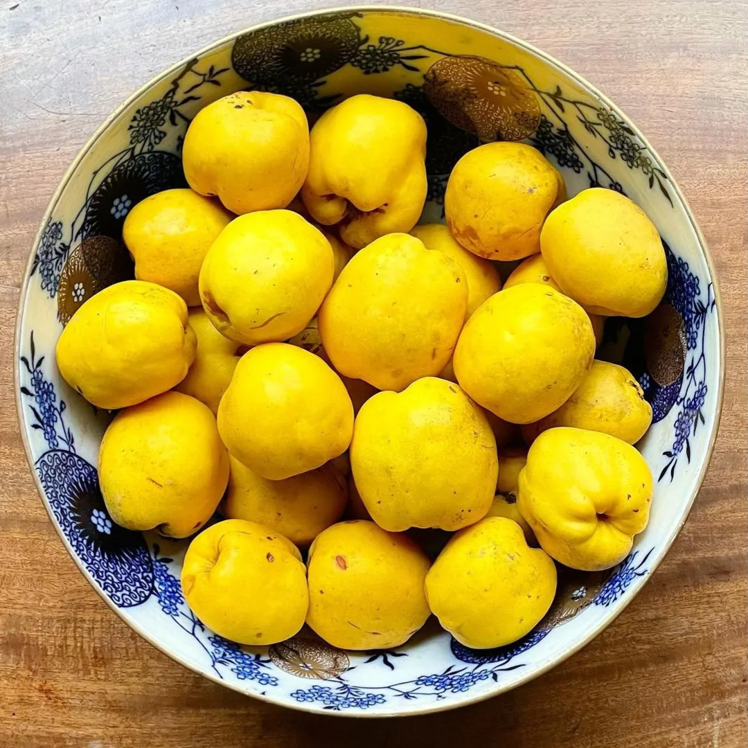 IMG_20240303_122126_449