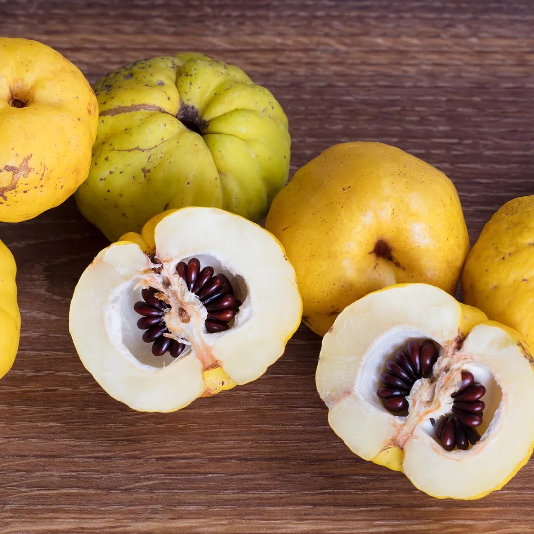 IMG_20240303_122126_459