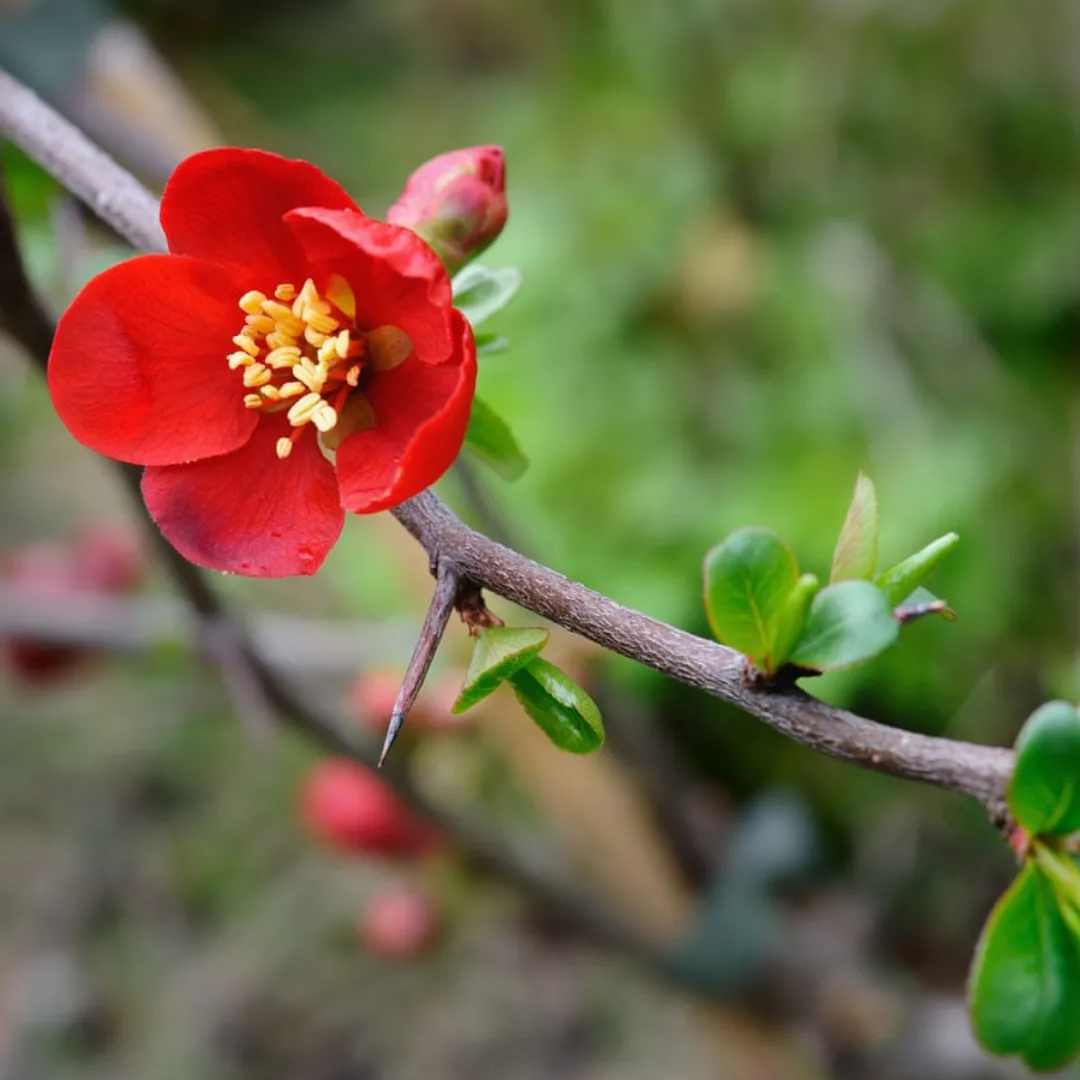 IMG_20240303_122126_468