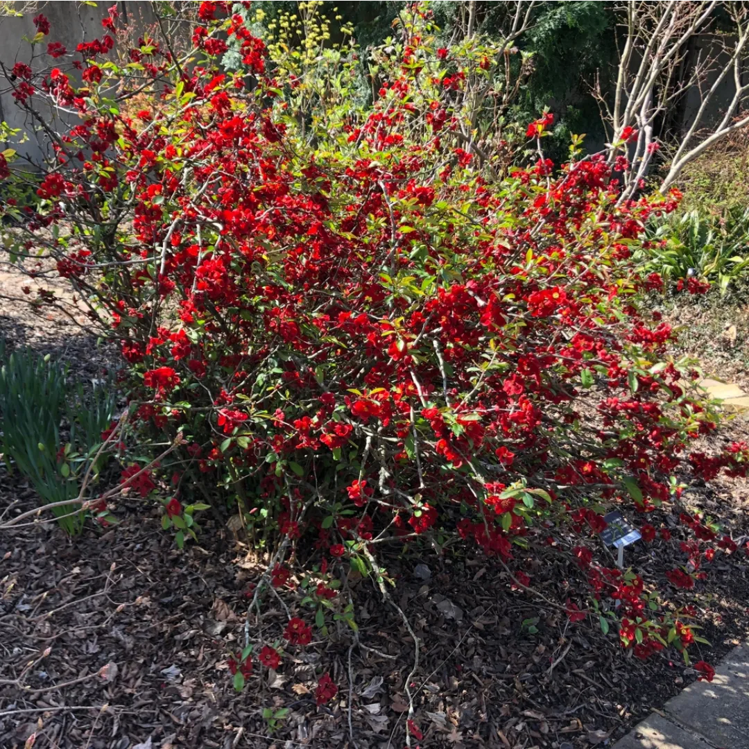 IMG_20240303_122126_478