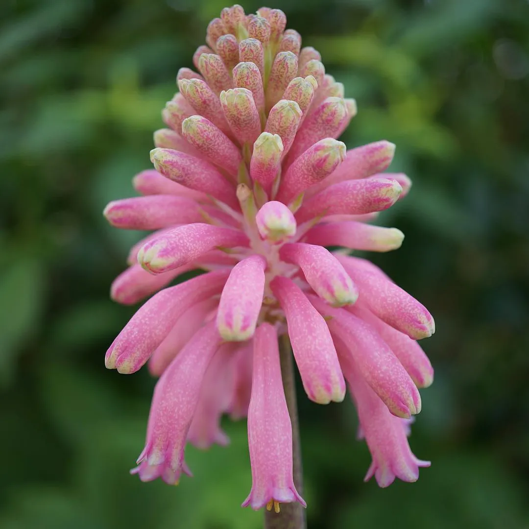 IMG_20240513_200052_583