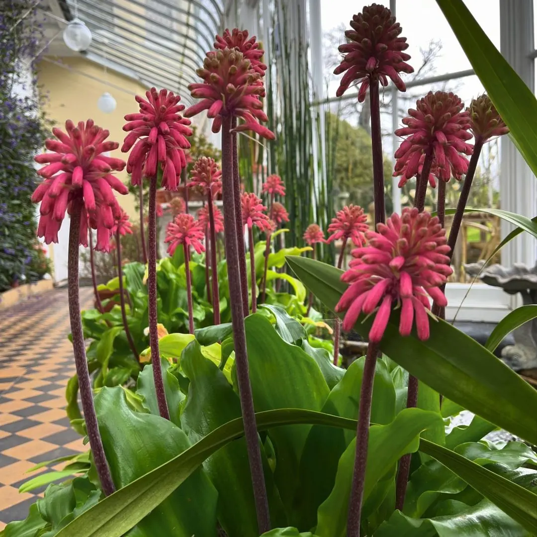 IMG_20240513_200052_602