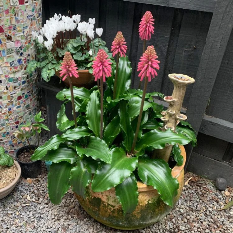 IMG_20240513_200052_625