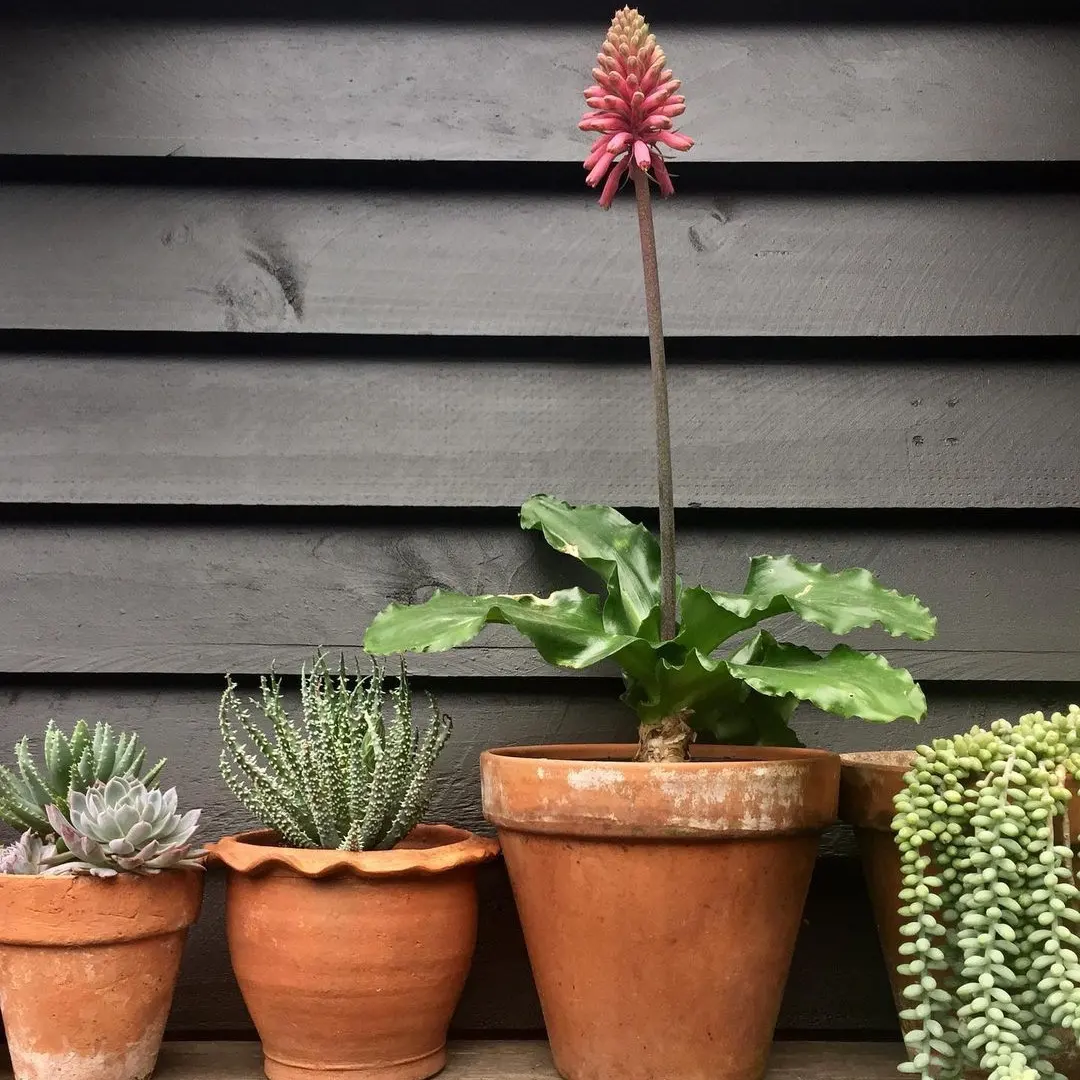 IMG_20240513_200052_630