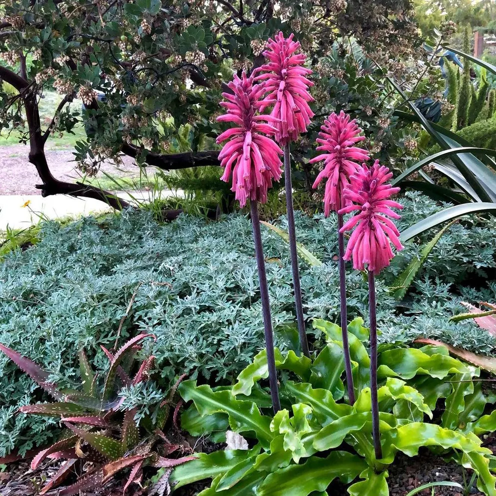 IMG_20240513_200052_646