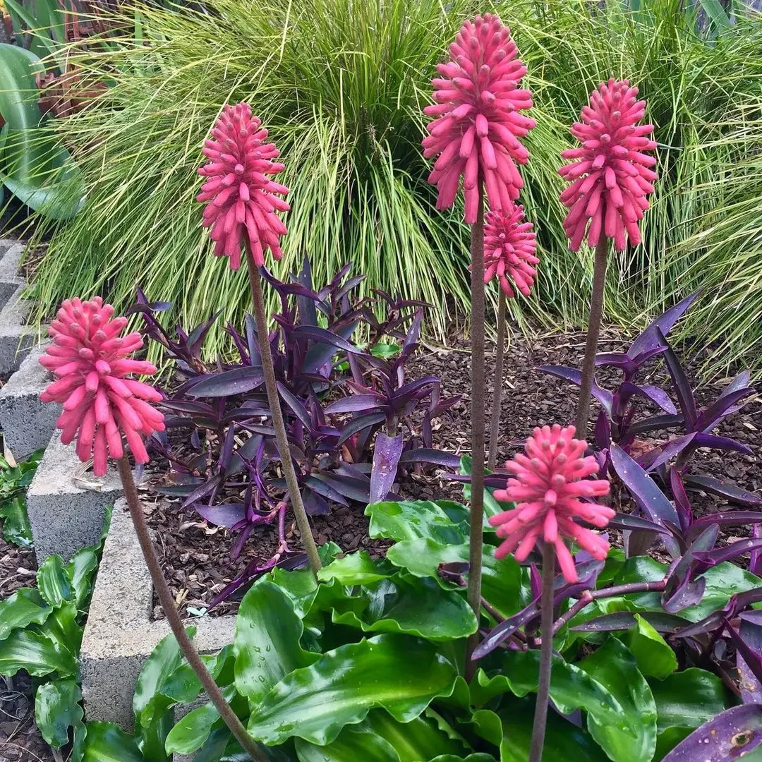 IMG_20240513_200052_660