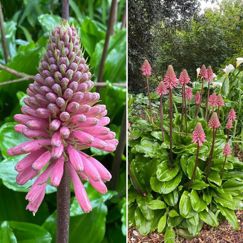 IMG_20240513_200052_667