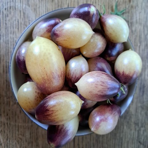 1662535947393_480x480