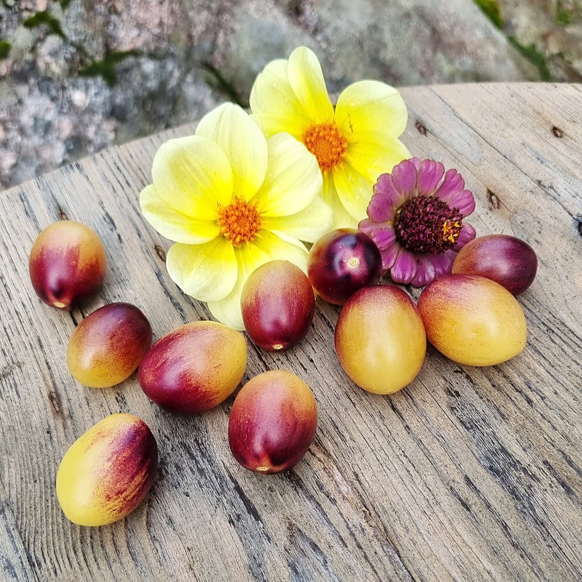 marchenengel.blomst_1200x1200