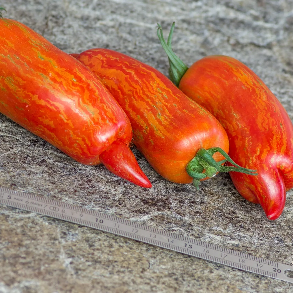 IMG_20240816_221133_524