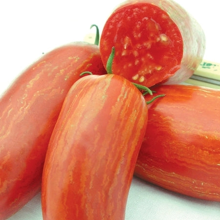 IMG_20240816_221133_718