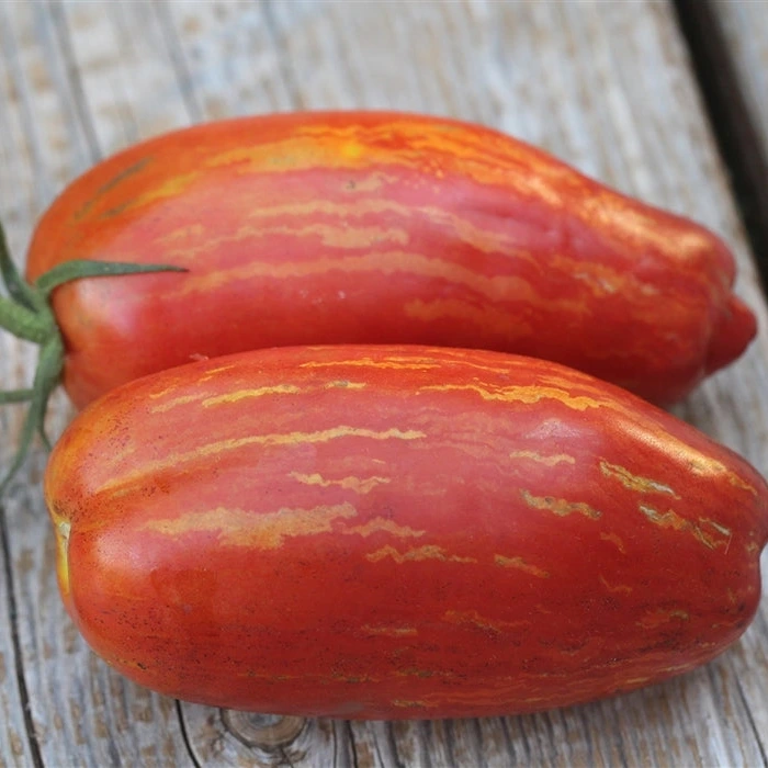 IMG_20240816_221133_839