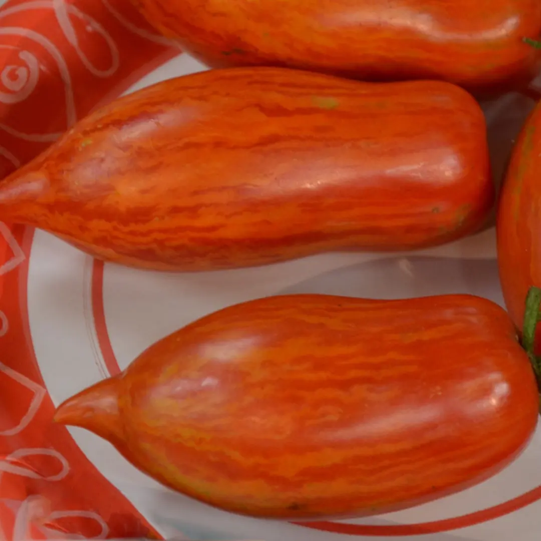 IMG_20240816_221133_940