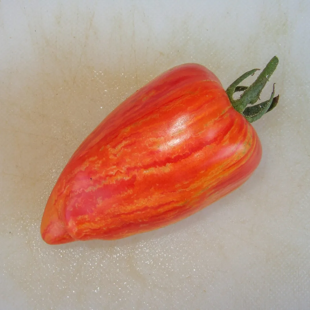 IMG_20240816_221134_043