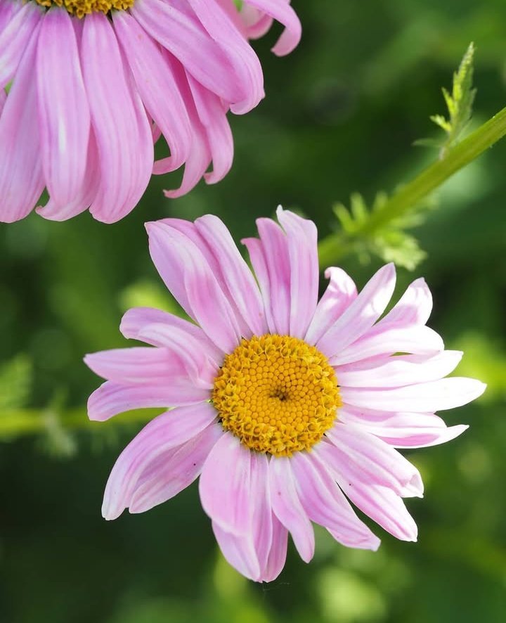 Screenshot_2024-12-23-12-34-44-38_1c337646f29875672b5a61192b9010f9