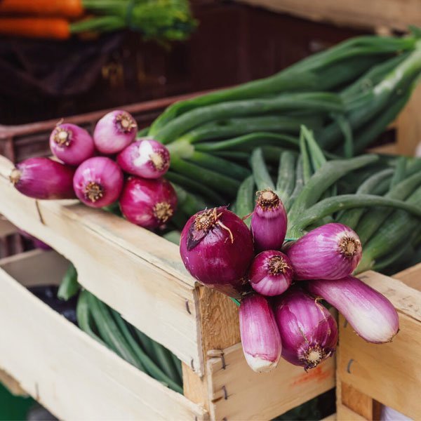 red-welsh-onion-2-1000x1000-1